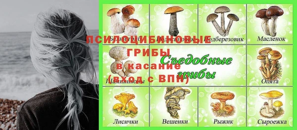 скорость Кинешма
