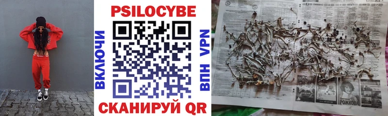 Купить закладки  Бакал  Галлюциногенные грибы Psilocybine cubensis 